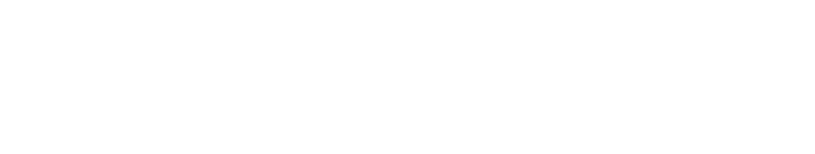 NTW logo white